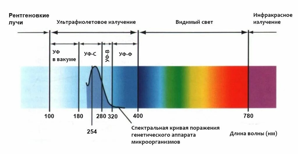 Диапазон спектра ультрафиолетового излучения. Ультрафиолетовое излучение диапазон излучения. Диапазон волн ультрафиолетового излучения. Ультрафиолет диапазон спектр. Ультрафиолетовую часть спектра видит