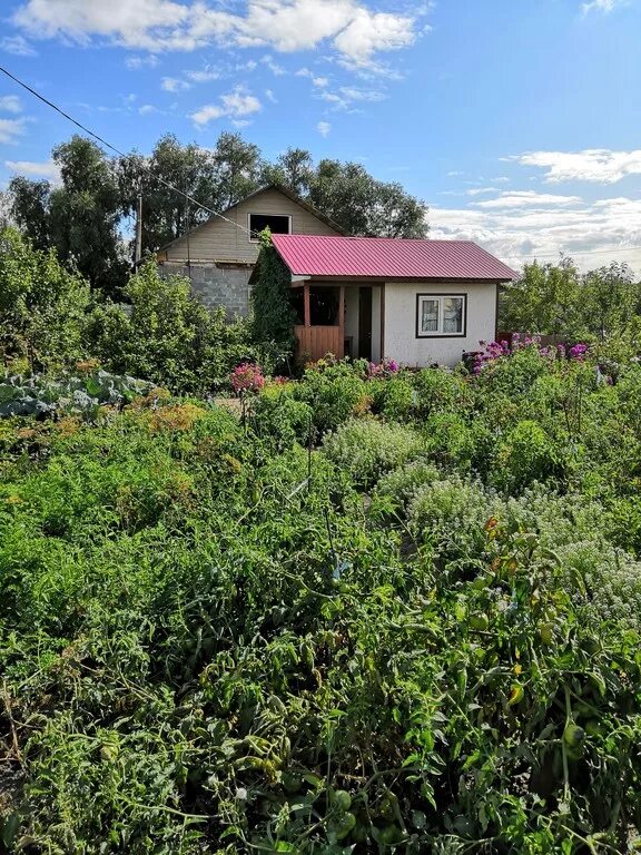 Снт птицевод купить. СНТ Птицевод-2. Новокузнецк СНТ Птицевод. СНТ Птицевод Омск. Дача Птицевод.