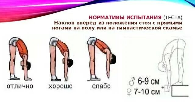 Наклон туловища вперед из положения сидя. Норматив наклон вперед из положения стоя. упражнение наклон с гимнастической скамьи. норматив на гибкость наклон из положения стоя. тест на гибкость наклон вперед из положения стоя.
