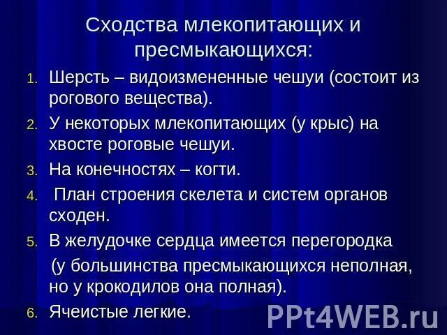 Сравнительная таблица пресмыкающихся и млекопитающих. Сходства млекопитающих и пресмыкающихся. Сходства в строении скелетов млекопитающих и пресмыкающихся. Сравни млекопитающих и рептилий. Признаки сравнения млекопитающих и пресмыкающихся таблица.