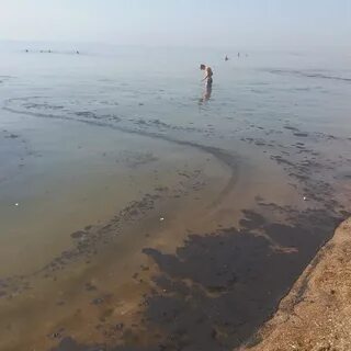 Азовское море состояние