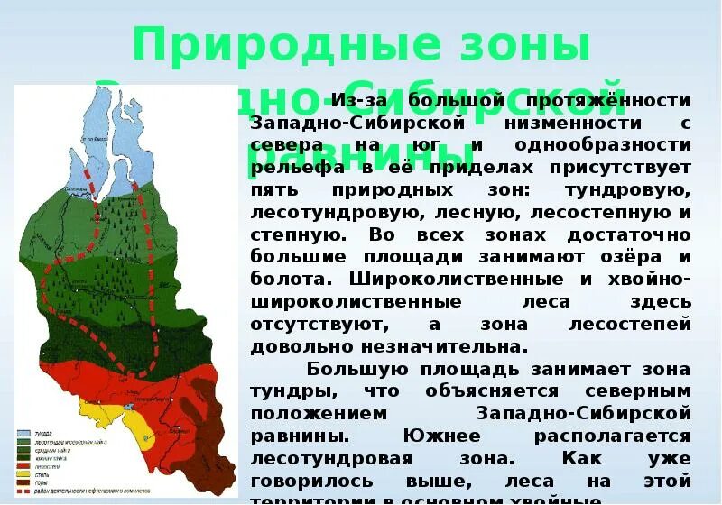 Природные зоны сибирского федерального округа. Западно Сибирская равнина в Кемеровской области. Климатические зоны Западной Сибири. Природные зоны Западно сибирской равнины. Природно-климатические зоны Западной Сибири.