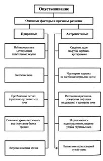 Опустынивание причины