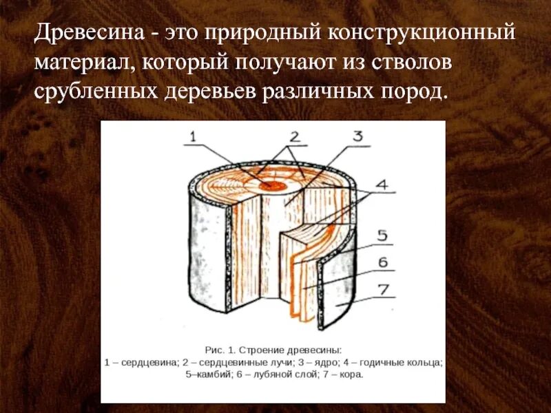 Пороки древесины 6 класс технология