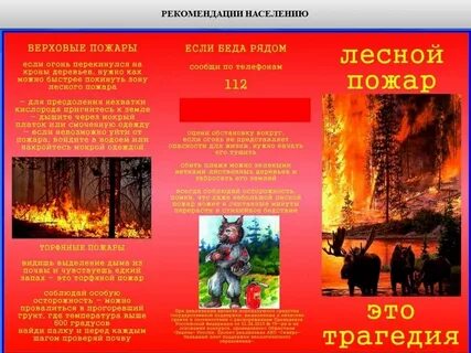 Пожарная безопасность в лесу обж 9 класс