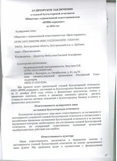 Разместить аудиторское заключение