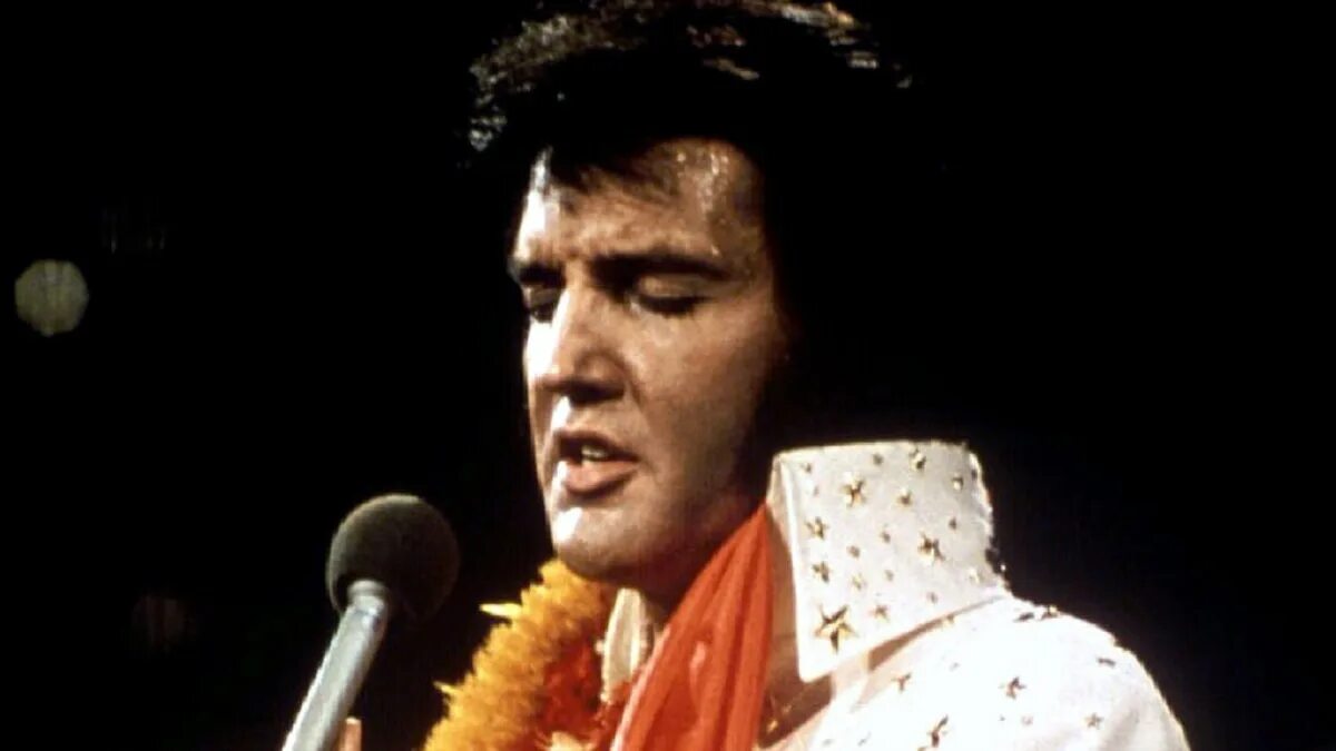 Элвис элвис elvis elvis. Элвис пресли. элвис пресли 1977. элвис пресли фото.