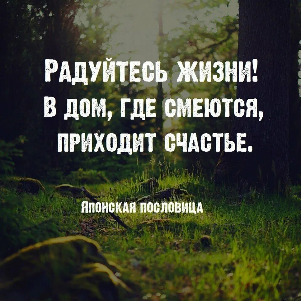 Надо жить высказывания. Радуйтесь жизни. Радуйтесь жизни смейтесь от счастья цитаты. Афоризмы радуйтесь. Радоваться цитаты.