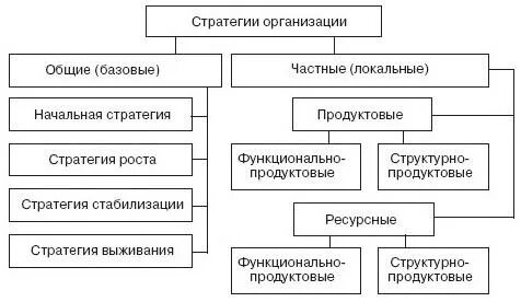 Общая стратегия организации это