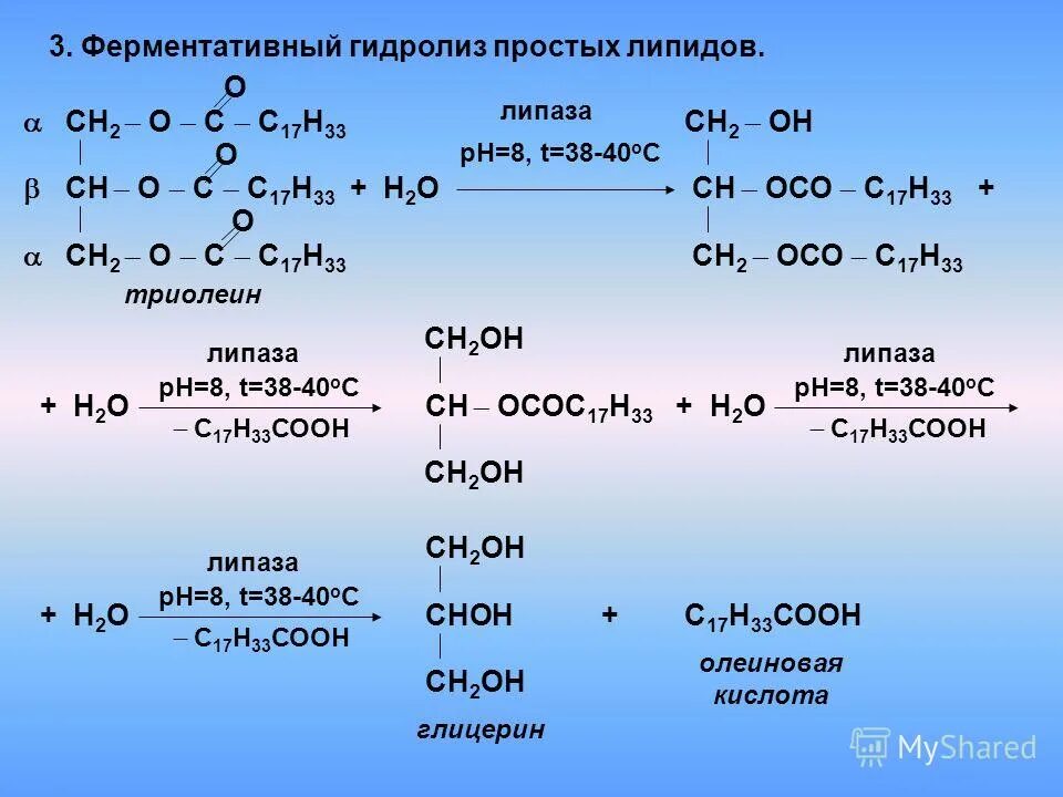 Выберите два вещества с которыми реагирует триолеин. Тристеарин глицерин формула. Реакция гидрогенизации триолеина. Ch2-ococ17h33. Выберите два вещества с которыми реагирует триолеин.