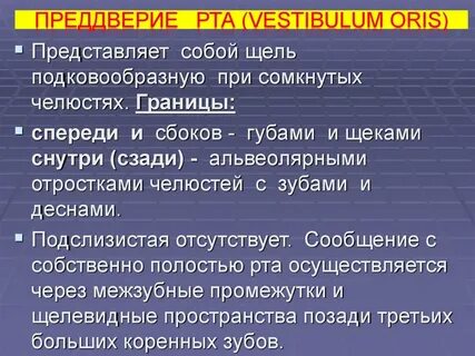 Преддверие рта