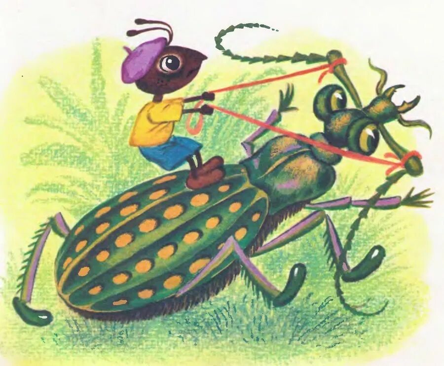 Какие насекомые помогали муравьишке добраться домой. Бианки в. в. "приключения муравьишки". Путешествие муравьишки Бианки. Сказка Бианки про муравья.