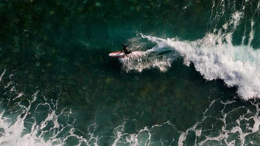 Акула мако в Приморье 2020. Нападение акул Приморский край\. Нападение акул на Сахалине. Акула нападения 2017