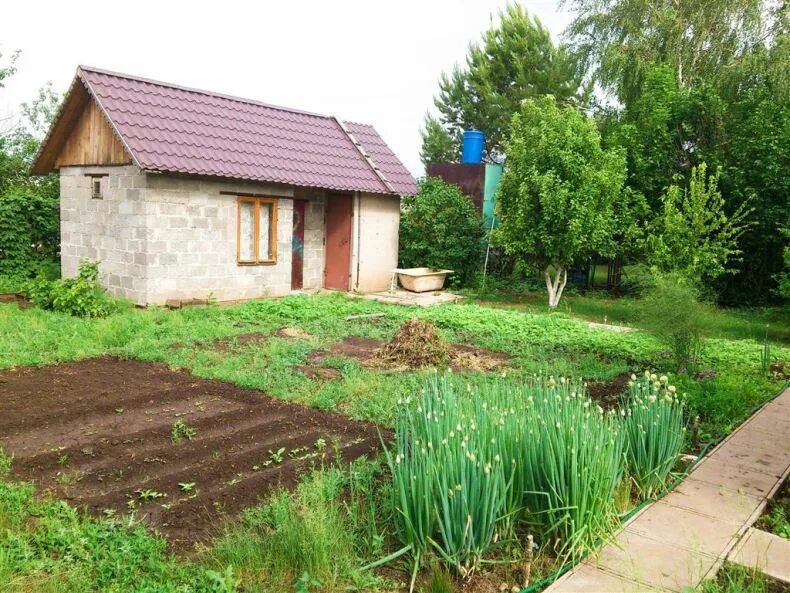 Хьюго на 6 сотках. Обустройство дачного участка 6 соток. Дача с баней на 6 сотках. Дачный участок 6 соток. Обустройство дачного участка.