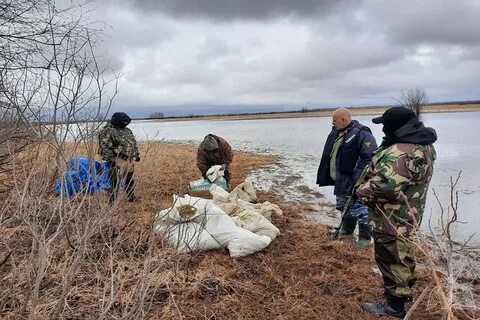 Выслеживая добыча