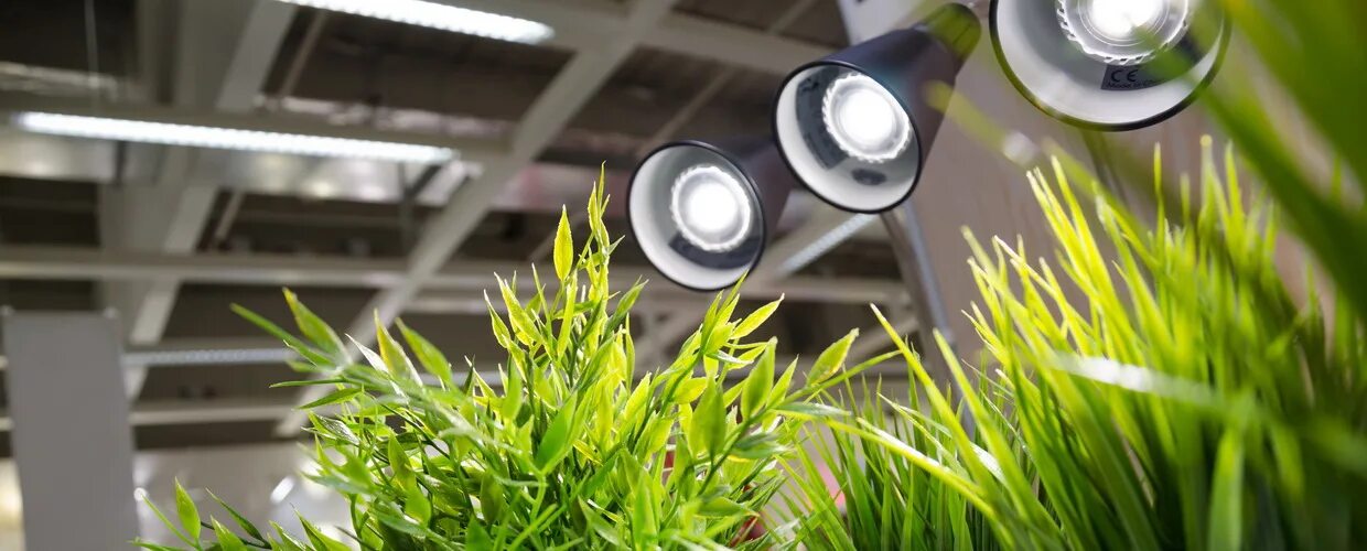 Artificial lighting