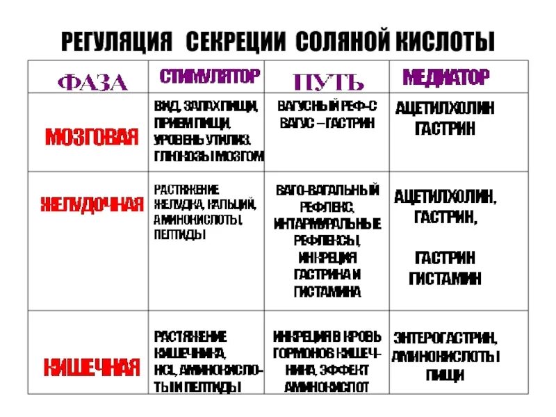 Секреции соляной кислоты. Регуляция секреции соляной кислоты. регуляция секреции соляной кислоты в желудке. фазы секреции соляной кислоты. принципы регуляции секреции соляной кислоты.