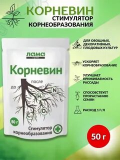 Можно ли замачивать семена в корневине