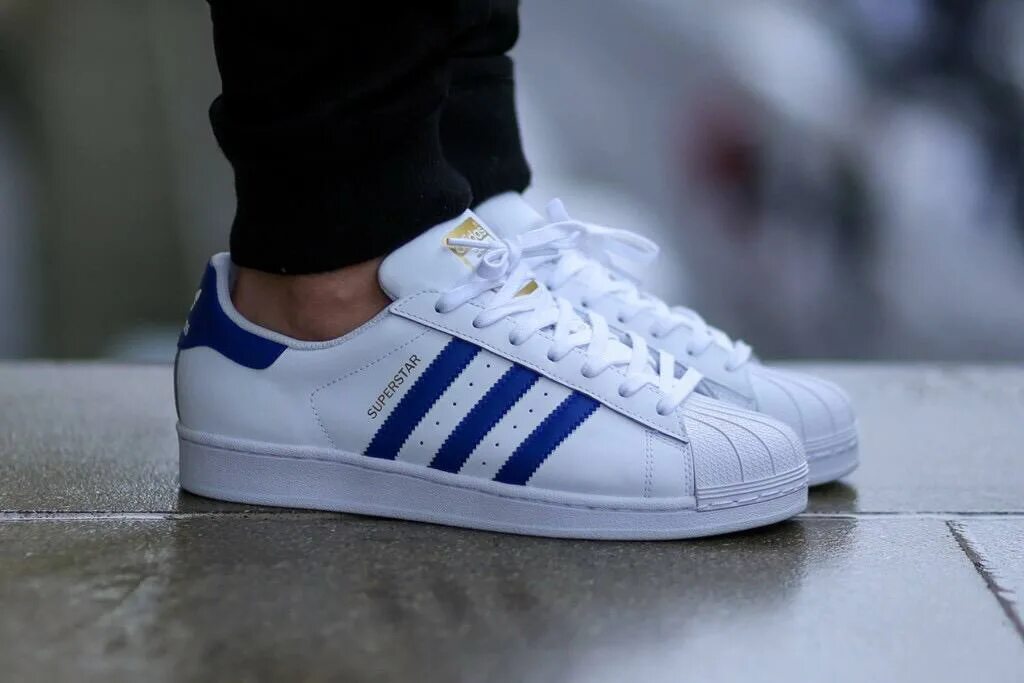 Адидас суперстар 2. Бордовые суперстары. Суперстар 16 июня. Adidas superstar женские. Суперстар 16 июня.