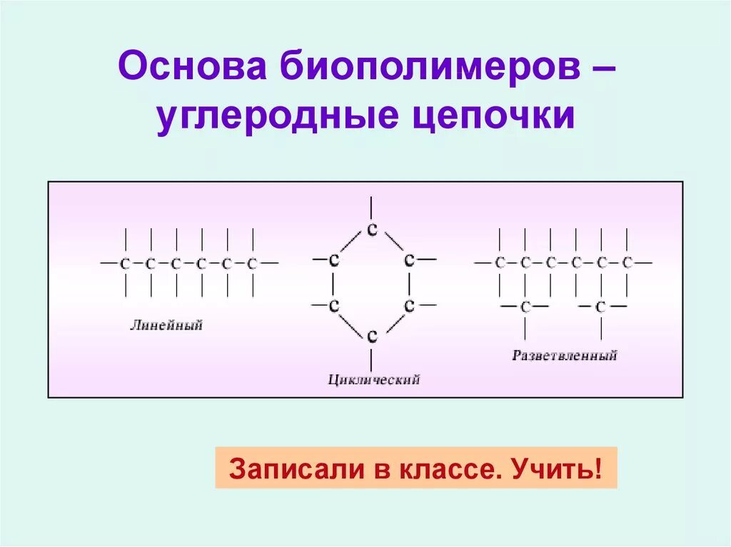 Линейные Цепочки углеродного скелета. Типы углерод углеродных цепей. Углеродные соединения разветвленная цепь. Линейный вид углеродных цепей.