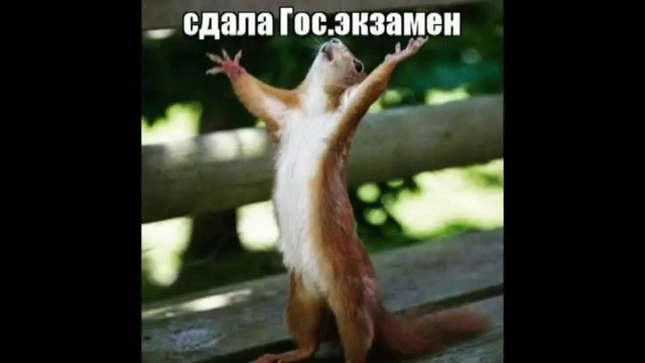Ну наконец то дождались. Ну наконец то мем. Ура наконец то. Ну наконец то я тебя. Ну накоонецто дождались.