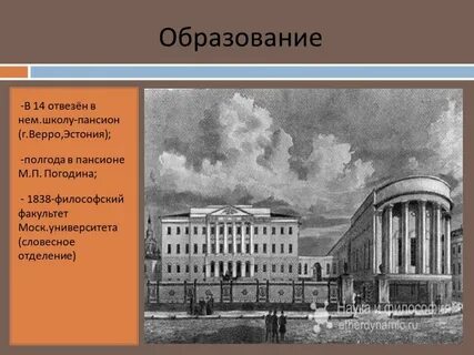 Образование фета