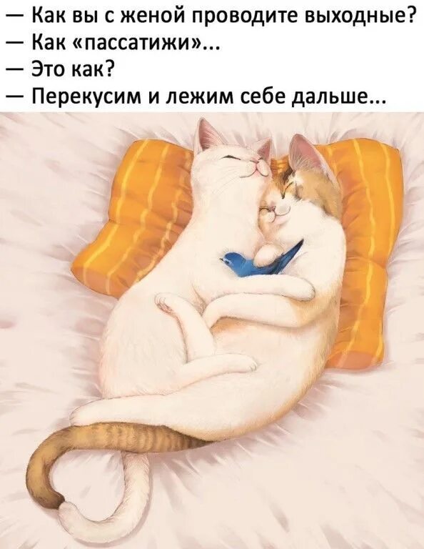 Выходные проводим вместе. Котики обнимаются. Прикольные арты с котами. Кот в постели. Спокойной ночи.