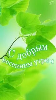 Зеленый горизонтально