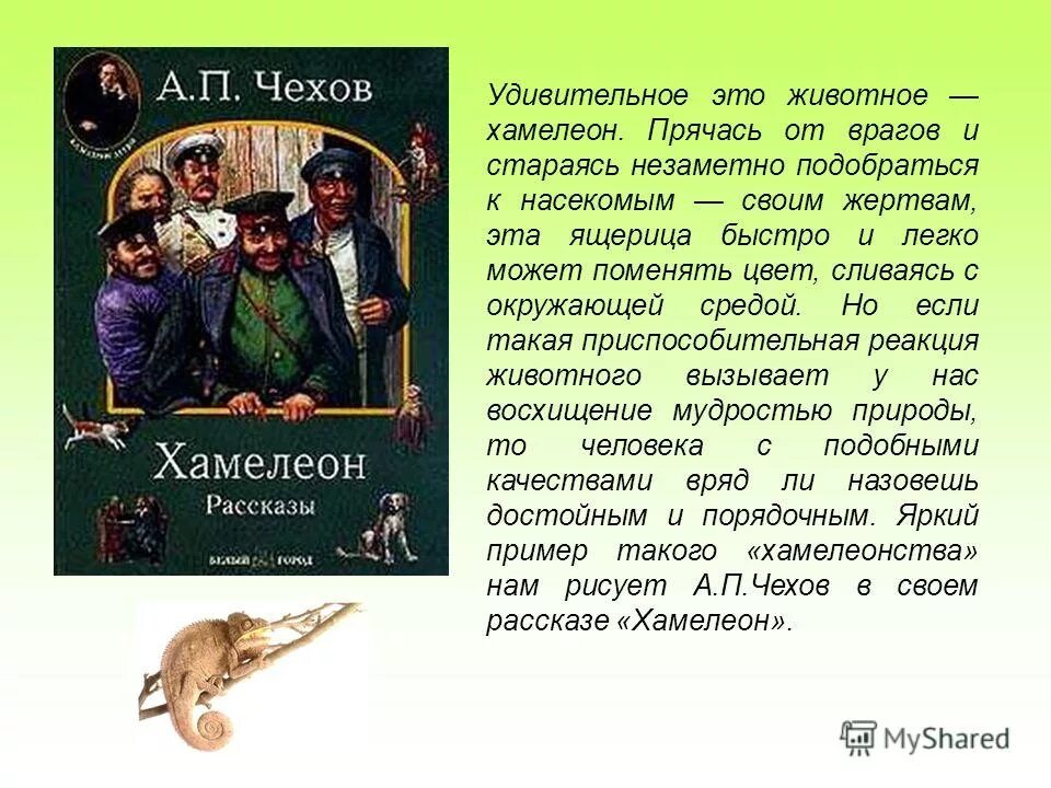 Рассказ хамелеон составить план. А П Чехов хамелеон. Хамелеон краткое содержание. Рассказ хамелеон Чехов. А П Чехов хамелеон краткое содержание.