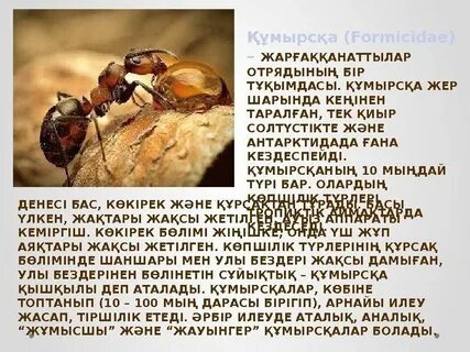 Украиналық үй порносын көріңіз