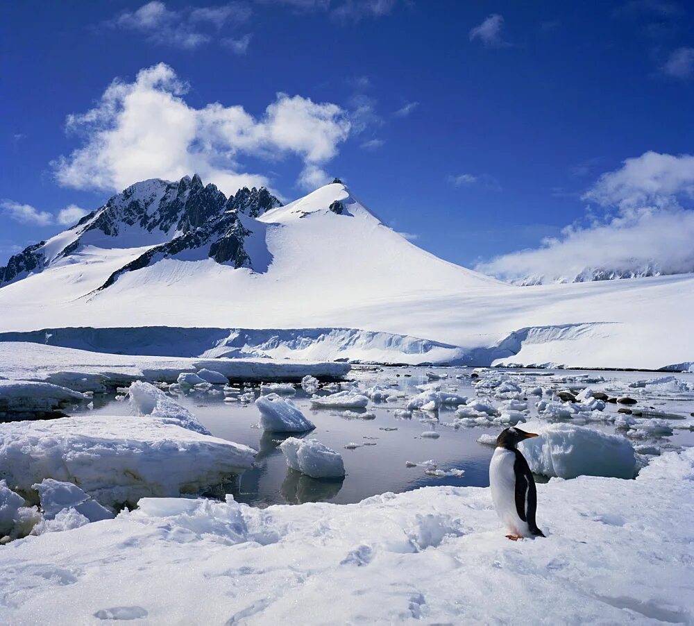 Самая низкая температура воздуха в антарктиде. Купол Фудзи Антарктида. Купол Фудзи антарктическая станция. Антарктида потепление фото. Низкая температура в Антарктиде.