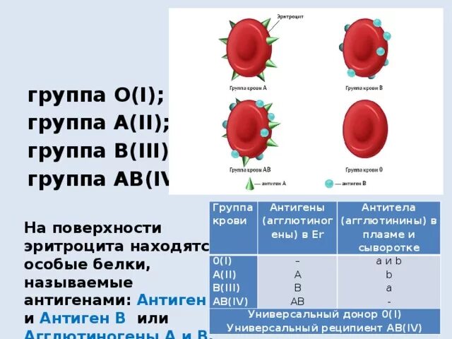 1 Группа крови агглютиногены и агглютинины. Агглютинины 2 группы крови. Агглютиногены 3 группы крови. 2 Группа крови агглютинины и агглютиногены. Кровь группы а содержит