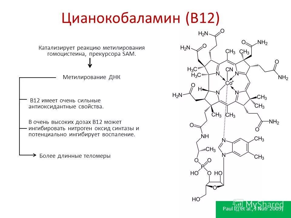 Синтез витамина б. Синтез витамина б12. Цианокобаламин витамин в12 100мл. Витамин в12 цианокобаламин формула. Витамин b12 кобаламин.