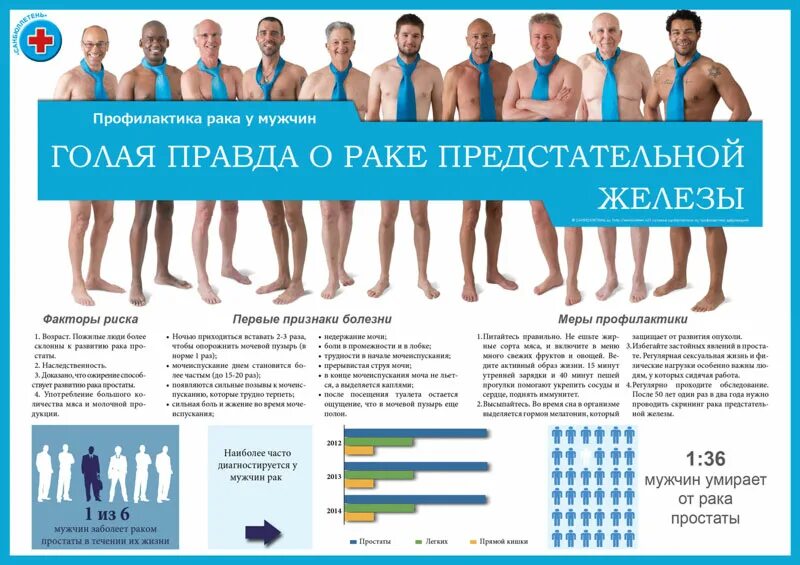 Какой должна быть правда. Профилактика предстательной железы. Профилактика заболеваний простаты. Профилактика онкологии. Профилактика простаты у мужчин.