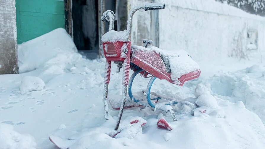 Снег живет предложение. Что живет в снегу. Поселок Цементнозаводский Воркута. Санки т6у. Заброшенное поселение снег.