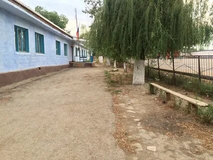 Погода в родниковом