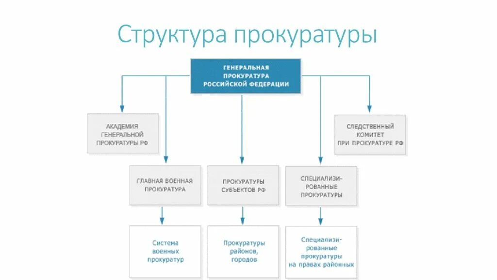 Структура прокурора