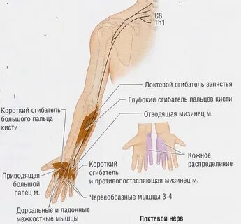 Болит нерв в локтевом суставе