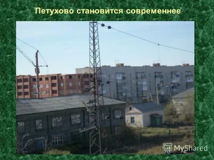 Какое петухово