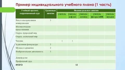 Индивидуальный учебный план обучающегося с овз