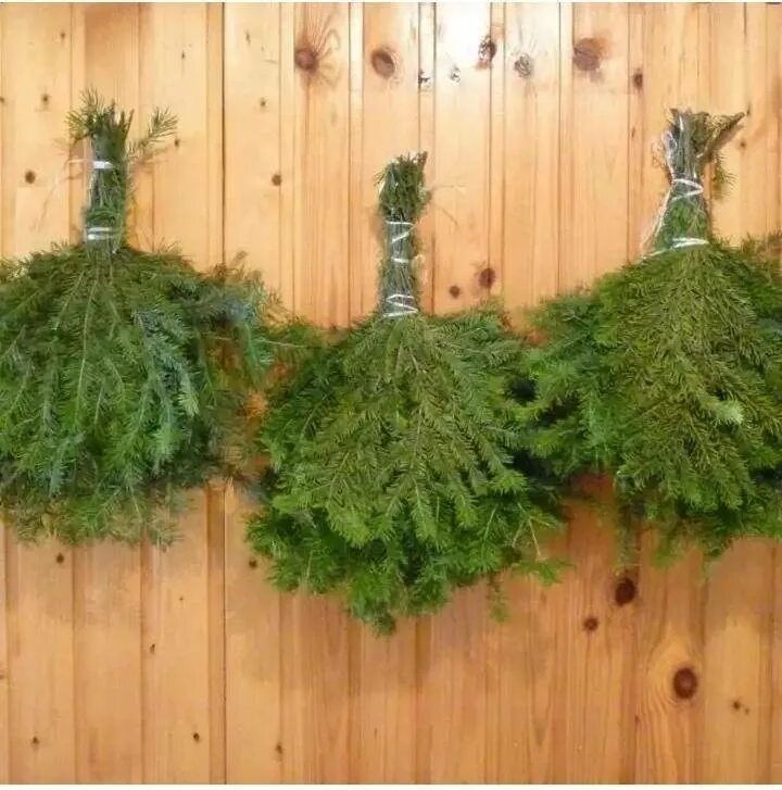 Париться пихтой. Пихтовый и можжевеловый веник. Париться пихтой. Пихта веник колючей. Париться пихтой.