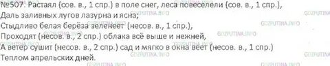 Русский язык 6 класс упр 507 ладыженская