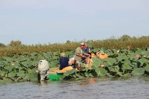 Погода в ступино астраханской