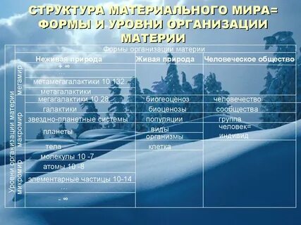 Виды организации материи