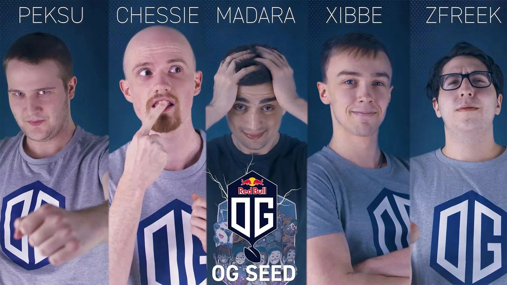 Og Dota 2 состав. Og Dota состав 2019. Og дота 2 состав 2018. Zfreek дота 2.