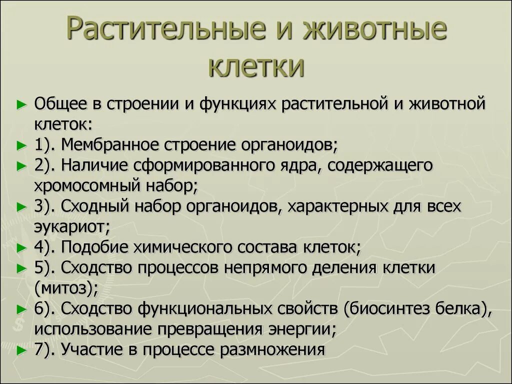 Клетка сходство различия животная растительная. Общие черты растительных клеток и животных клеток. Сходства клеток растений и животных. Сходства растительной и животной клетки. Сходства и различия растительных и животных клеток.