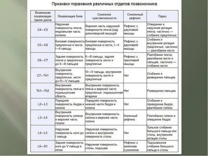 Особенности позвонков разных отделов таблица