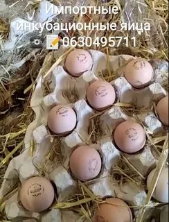 Почему греют яйцом