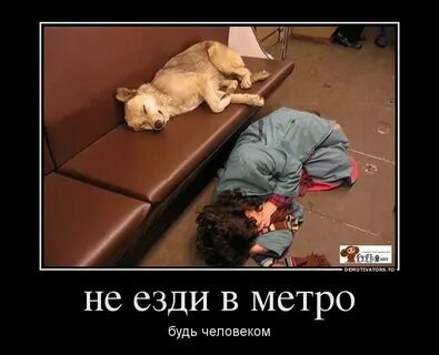 И ни друг и ни враг