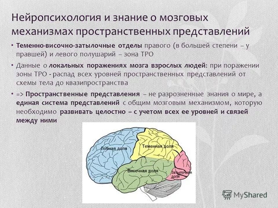 Функциональное нарушение мозга. Головной мозг нейропсихология. Зоны головного мозга. Пространственные представления в нейропсихологии. Нейропсихологические синдромы поражения затылочных отделов мозга.